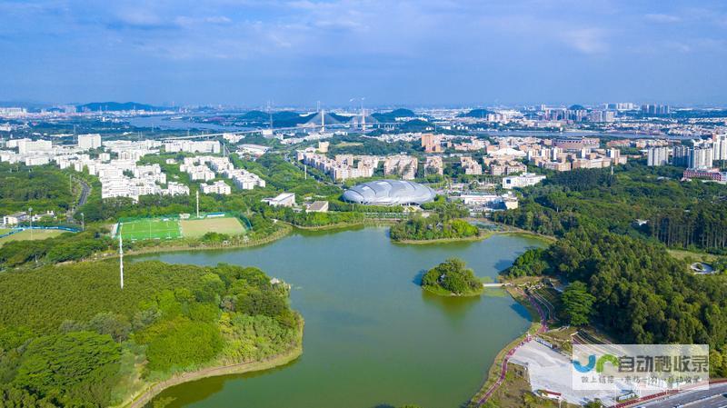 番禺SEO：提升本地搜索可见度，助力企业在番禺市场脱颖而出