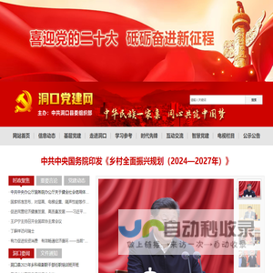 洞口党建网